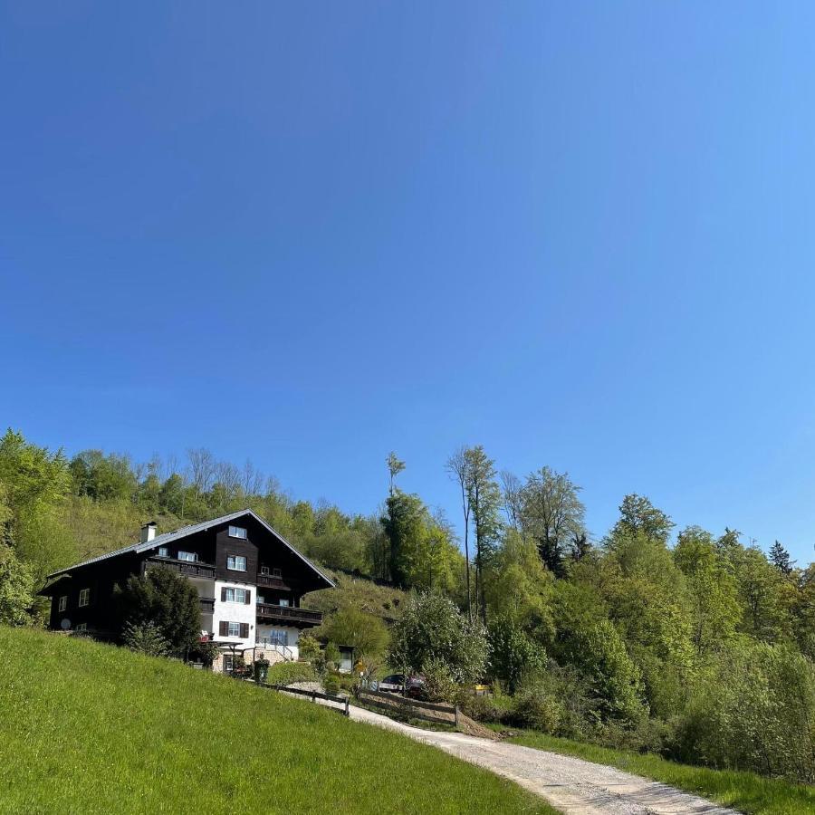 Pension 'S Waldeck Traunkirchen Kültér fotó